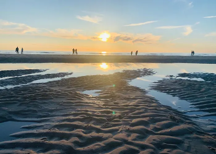 Apartment House Parallel