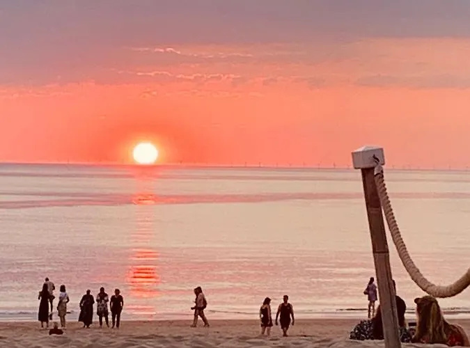 House Parallel Apartment *